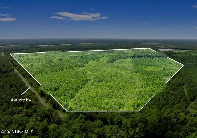 Homes for sale in White Oak, NC | Na Burney Rd, White Oak, NC 28399 | MLS# 100587581