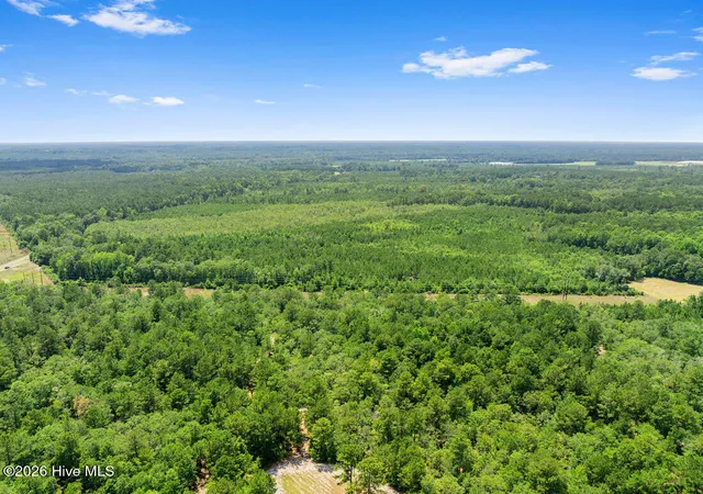Homes for sale in White Oak, NC | Na Burney Rd, White Oak, NC 28399 | MLS# 100587581
