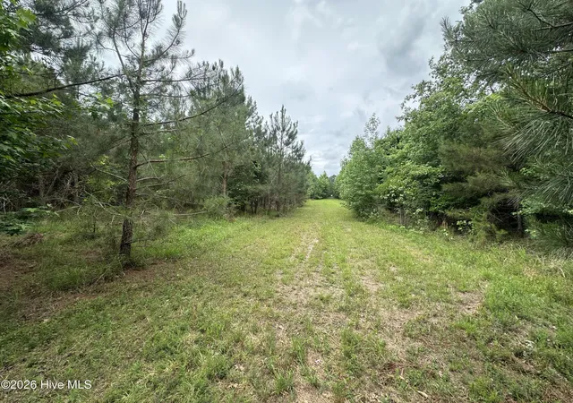 Homes for sale in Ahoskie, NC | 0 Colice Hall Ln, Ahoskie, NC 27910 | MLS# 100576932