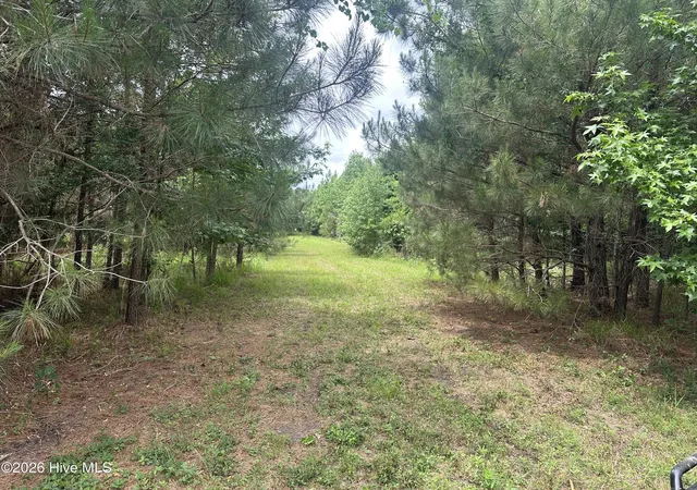 Homes for sale in Ahoskie, NC | 0 Colice Hall Ln, Ahoskie, NC 27910 | MLS# 100576932