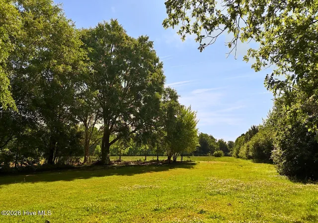 Homes for sale in Beulaville, NC | 0 Old Chinquapin Rd, Beulaville, NC 28518 | MLS# 100571249