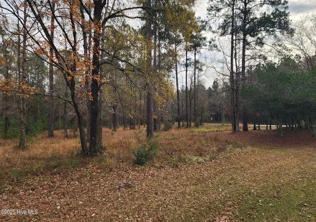 Photo 3 of Land for sale at 112 Sandy Point Dr, Beaufort, NC 28516 | MLS# 100544854 | Listing updated on 2026-08-19