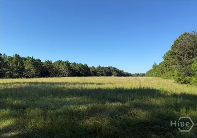 Homes for sale in Claxton, GA | 0 Sunbury Rd #Tract 4, Claxton, GA 30417 | MLS# SA339073