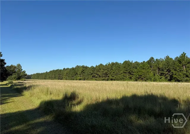 Homes for sale in Claxton, GA | 0 Sunbury Rd #Tract 4, Claxton, GA 30417 | MLS# SA339073