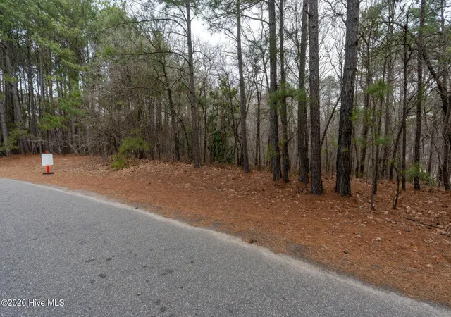 Homes for sale in Seven Lakes, NC | 102 Ramsgate Ct, Seven Lakes, NC 27376 | MLS# 100558404