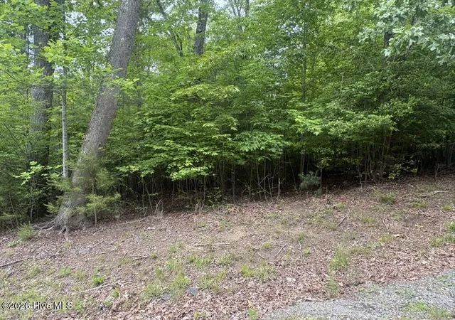 Homes for sale in Hayesville, NC | (Undisclosed), Hayesville, NC 28904 | MLS# 100580402