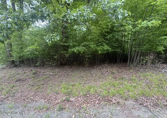 Homes for sale in Hayesville, NC | (Undisclosed), Hayesville, NC 28904 | MLS# 100580402