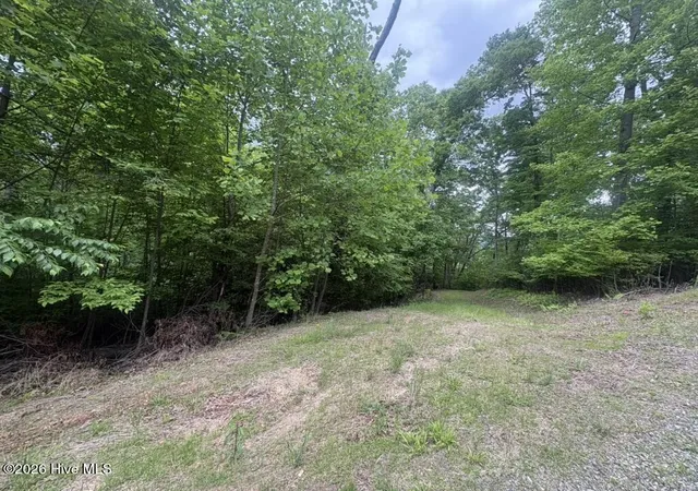 Homes for sale in Hayesville, NC | (Undisclosed), Hayesville, NC 28904 | MLS# 100580402