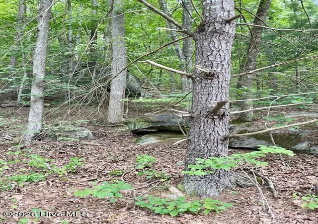 Photo 1 of Land for sale at 11 Lonesome Pine Rd, Murphy, NC 28906 | MLS# 100578725 | Listing updated on 2026-08-19