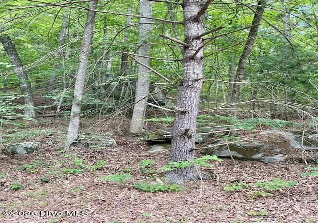 Photo 2 of Land for sale at 11 Lonesome Pine Rd, Murphy, NC 28906 | MLS# 100578725 | Listing updated on 2026-08-19
