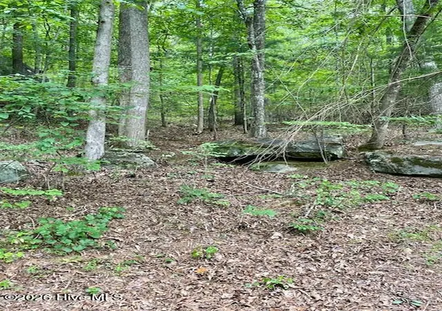 Photo 3 of Land for sale at 11 Lonesome Pine Rd, Murphy, NC 28906 | MLS# 100578725 | Listing updated on 2026-08-19