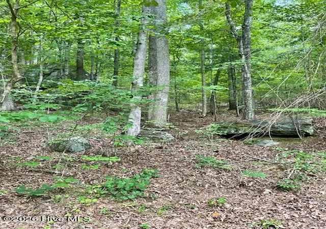 Photo 3 of Land for sale at 11 Lonesome Pine Rd, Murphy, NC 28906 | MLS# 100578725 | Listing updated on 2026-08-19
