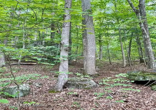 Photo 4 of Land for sale at 11 Lonesome Pine Rd, Murphy, NC 28906 | MLS# 100578725 | Listing updated on 2026-08-19
