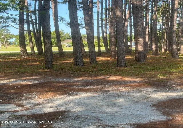 59th image of 949 Fifty Lakes Dr, Southport, NC 28461 | MLS# 100512756
