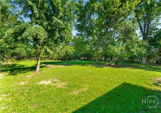 75th image of 8075 Lakeview Rd, Statesboro, GA 30461 | MLS# SA357842