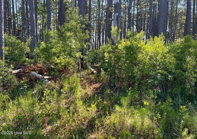 Photo 3 of Land for sale at 556 Hwy 70 Smyrna, Smyrna, NC 28579 | MLS# 100574605 | Listing updated on 2026-09-22