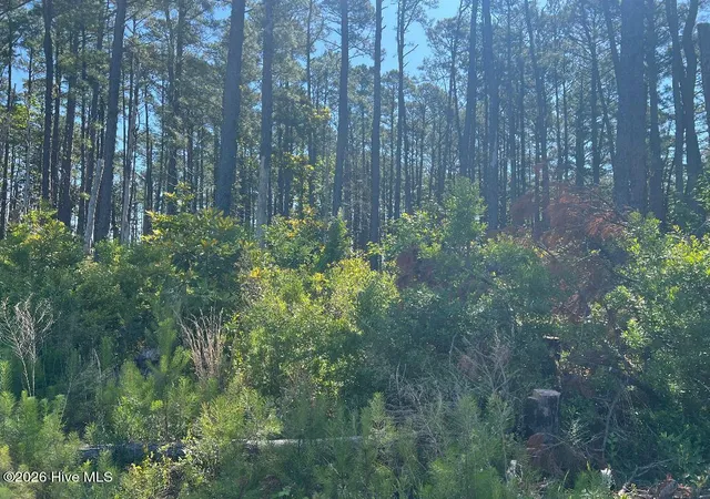 Photo 3 of Land for sale at 556 Hwy 70 Smyrna, Smyrna, NC 28579 | MLS# 100574605 | Listing updated on 2026-09-22