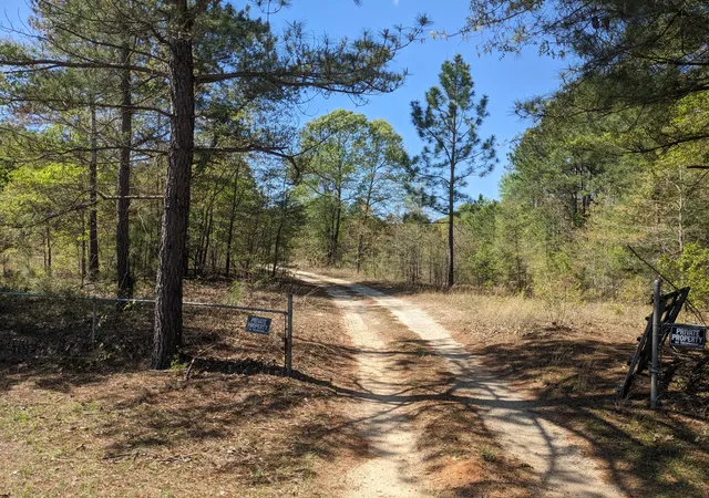 Homes for sale in Blythe, GA | 4781 Deans Bridge Rd, Blythe, GA 30805 | MLS# 98212375