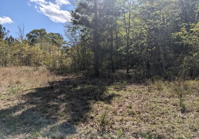 Homes for sale in Blythe, GA | 4781 Deans Bridge Rd, Blythe, GA 30805 | MLS# 98212375