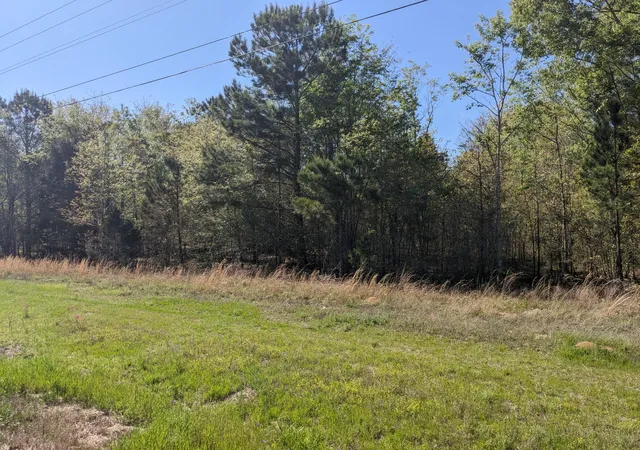 Homes for sale in Blythe, GA | 4781 Deans Bridge Rd, Blythe, GA 30805 | MLS# 98212375