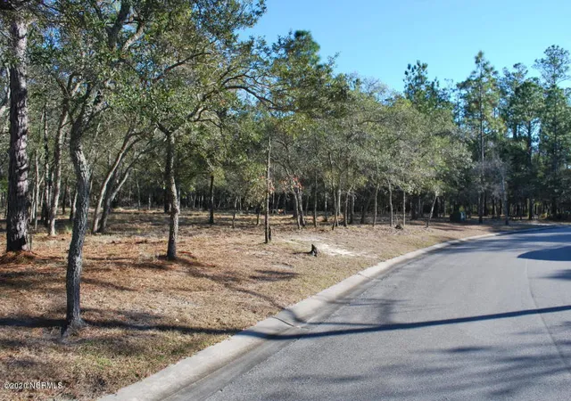 Photo 2 of Land for sale at 3581 Concordia Ave Sw, Supply, NC 28462 | MLS# 100559275 | Listing updated on 2026-09-16