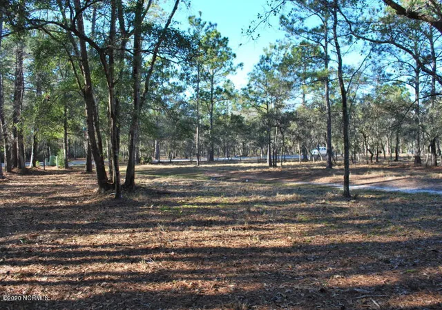 Photo 3 of Land for sale at 3581 Concordia Ave Sw, Supply, NC 28462 | MLS# 100559275 | Listing updated on 2026-09-16