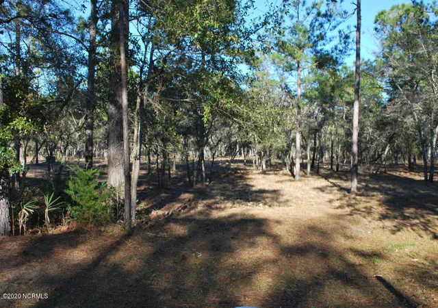 Photo 4 of Land for sale at 3581 Concordia Ave SW, Supply, NC 28462 | MLS# 100559275 | Listing updated on 2026-09-16