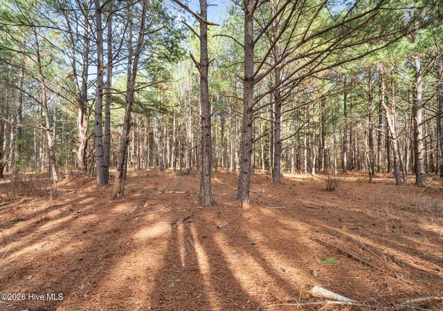 Photo 3 of Single family home for sale at 2655 Us 1 Hwy, Vass, NC 28394 | MLS# 100600118 | Listing updated on 2026-08-31