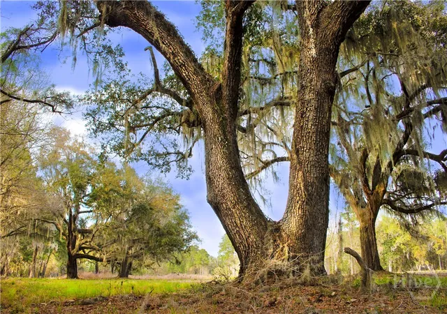 Photo 1 of Land for sale at 1 William'S (36 Lots 95 Acres) Retreat, Savannah, GA 31419 | MLS# SA331202 | Listing updated on 2026-10-09