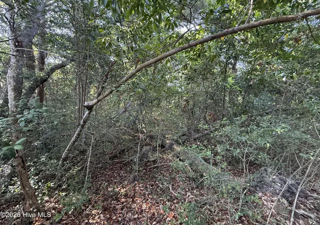 Photo 2 of Land for sale at 207 Stede Bonnet Wynd, Bald Head Island, NC 28461 | MLS# 100581428 | Listing updated on 2026-08-19