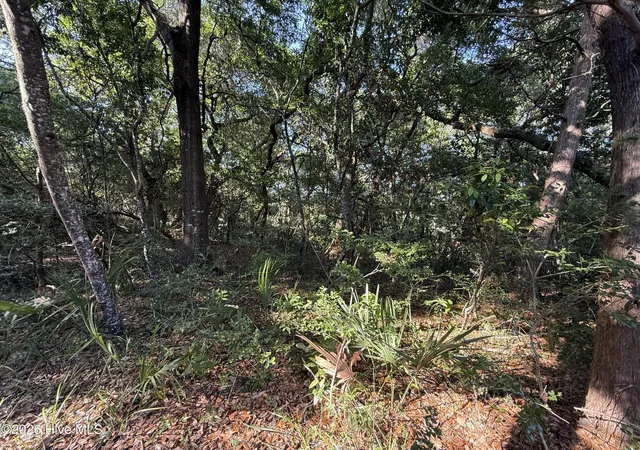 Photo 3 of Land for sale at 207 Stede Bonnet Wynd, Bald Head Island, NC 28461 | MLS# 100581428 | Listing updated on 2026-08-19