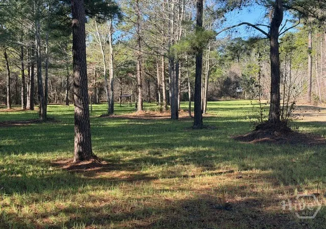 24th image of 0 N 119, Pembroke, GA 31321 | MLS# SA347958