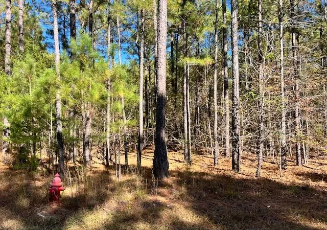1st image of 0 Mariners Wy, Lincolnton, GA 30817 | MLS# 98254431