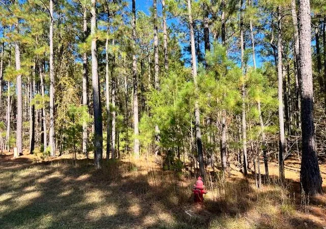 2nd image of 0 Mariners Wy, Lincolnton, GA 30817 | MLS# 98254431