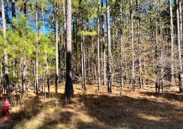 Photo 3 of Land for sale at 0 Mariners Way, Lincolnton, GA 30817 | MLS# 98254431 | Listing updated on 2026-08-19
