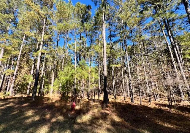 4th image of 0 Mariners Wy, Lincolnton, GA 30817 | MLS# 98254431