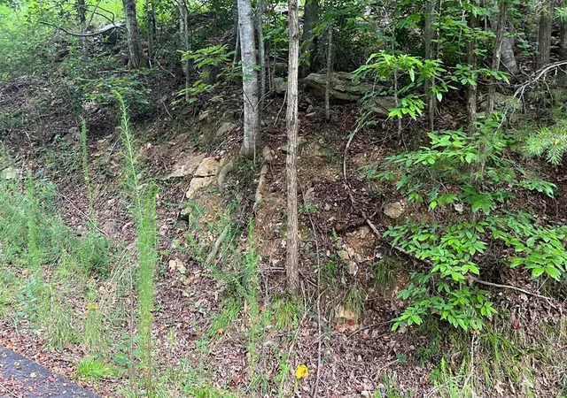 Homes for sale in Brasstown, NC | Lot 11 The Preserve, Brasstown, NC 28902 | MLS# 98524582