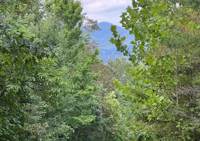 Homes for sale in Brasstown, NC | Lot 11 The Preserve, Brasstown, NC 28902 | MLS# 98524582