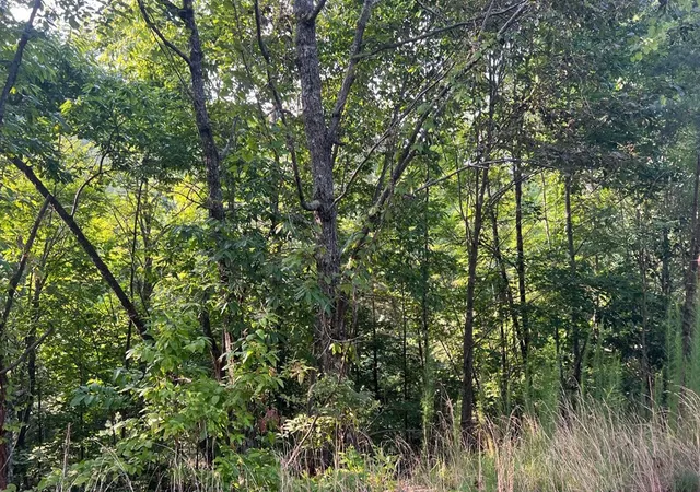 Homes for sale in Brasstown, NC | Lot 11 The Preserve, Brasstown, NC 28902 | MLS# 98524582