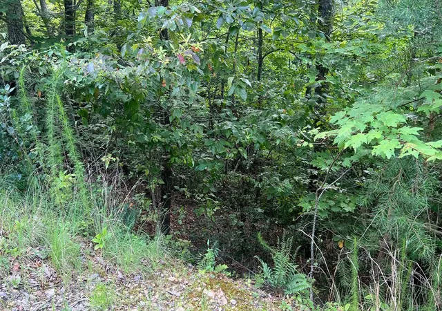 Homes for sale in Brasstown, NC | Lot 11 The Preserve, Brasstown, NC 28902 | MLS# 98524582