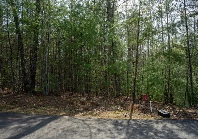 Homes for sale in Murphy, NC | Lot 2 Flowing Springs Dr, Murphy, NC 28906 | MLS# 98544258