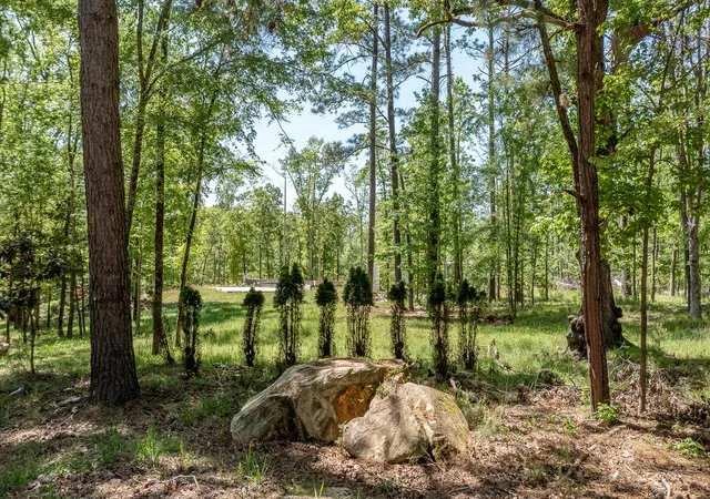 3rd image of 1250 Mosley Rd, Lincolnton, GA 30817 | MLS# 98224803