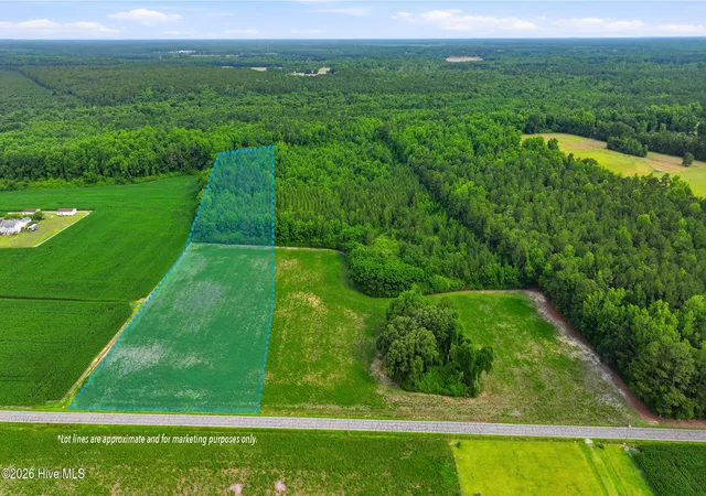 Homes for sale in Willard, NC | Lot 7 Point Caswell Road, Willard, NC 28478 | MLS# 100586250