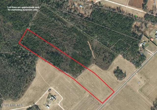 Homes for sale in Willard, NC | Lot 7 Point Caswell Road, Willard, NC 28478 | MLS# 100586250