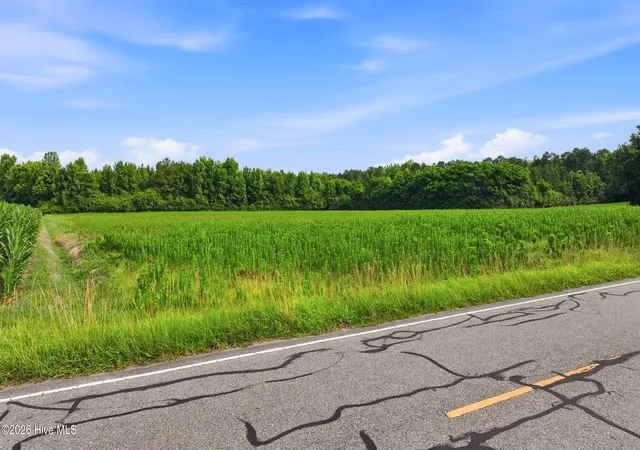 Homes for sale in Willard, NC | Lot 7 Point Caswell Road, Willard, NC 28478 | MLS# 100586250