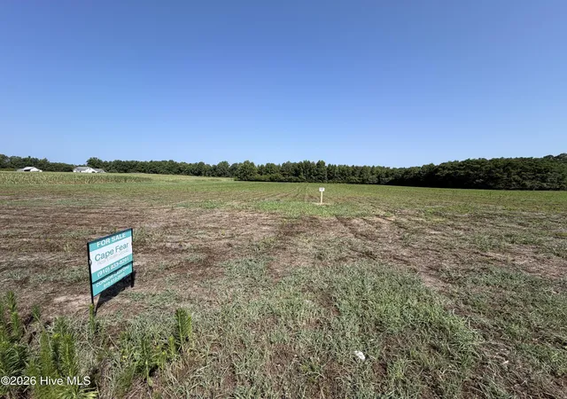 Homes for sale in Willard, NC | Lot 7 Point Caswell Road, Willard, NC 28478 | MLS# 100586250