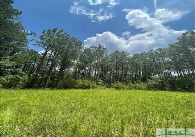 Photo 2 of Land for sale at 0 Rahn Sta Rd, Springfield, GA 31329 | MLS# SA324219 | Listing updated on 2026-07-07