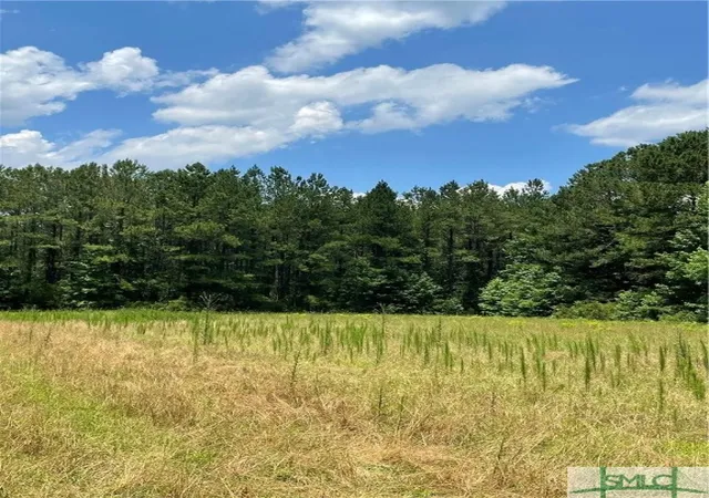 Photo 5 of Land for sale at 0 Rahn Sta Rd, Springfield, GA 31329 | MLS# SA324219 | Listing updated on 2026-07-07