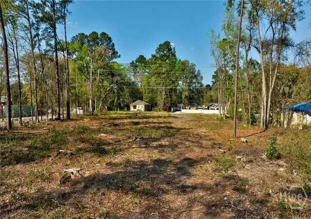 Homes for sale in Savannah, GA | 2502 Staley Ave, Savannah, GA 31405 | MLS# SA351912