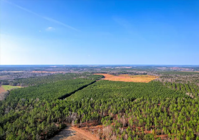 Homes for sale in Wrens, GA | 0 Old Thomson Rd, Wrens, GA 30833 | MLS# 98254665